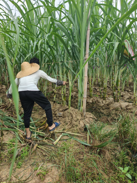 桂林航天工业学院计算机与科学工程学院“桂