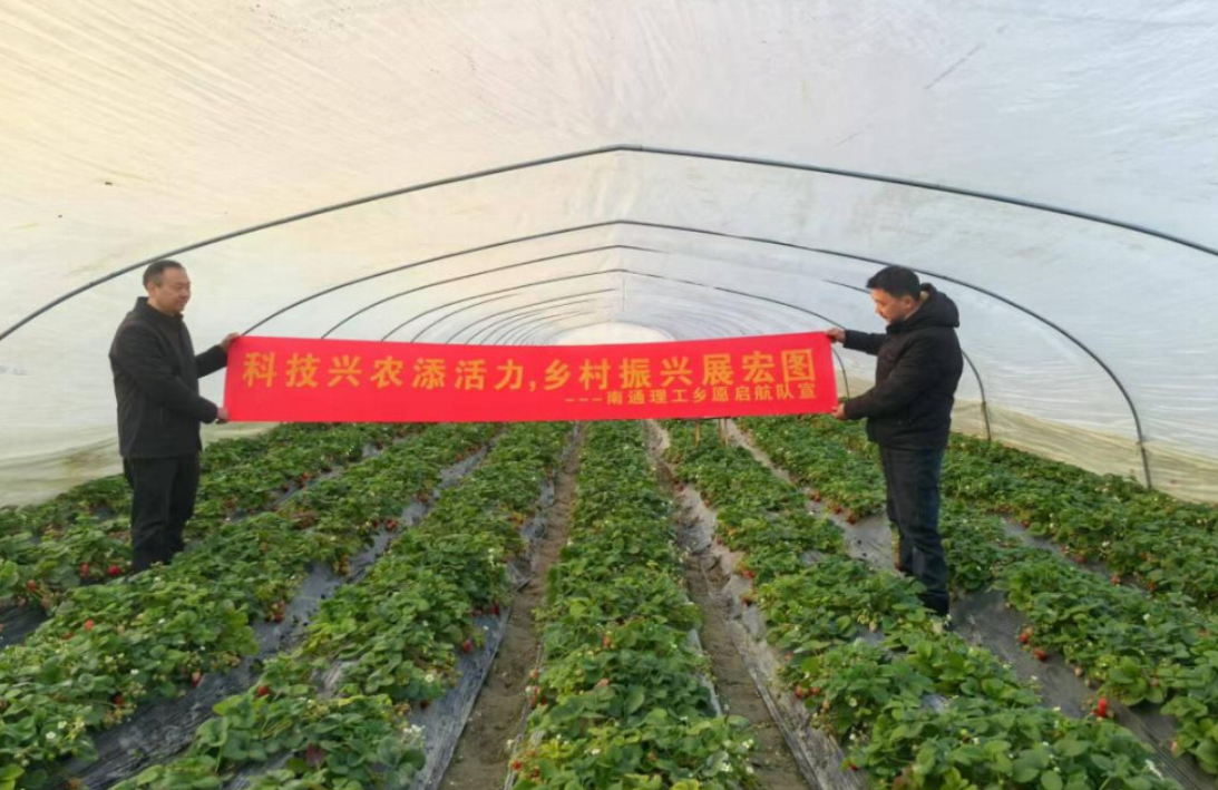 南通理工学院乡村振兴调研活动：探索青年参