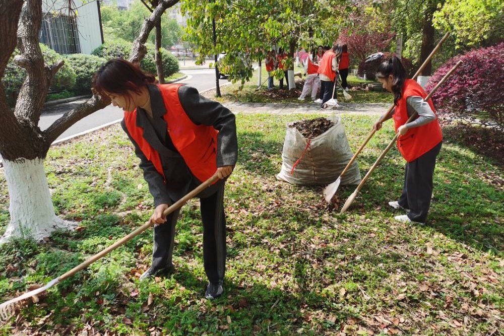 校园文化新活力:XX职业技术学院书法协会“墨香传承”品牌推广