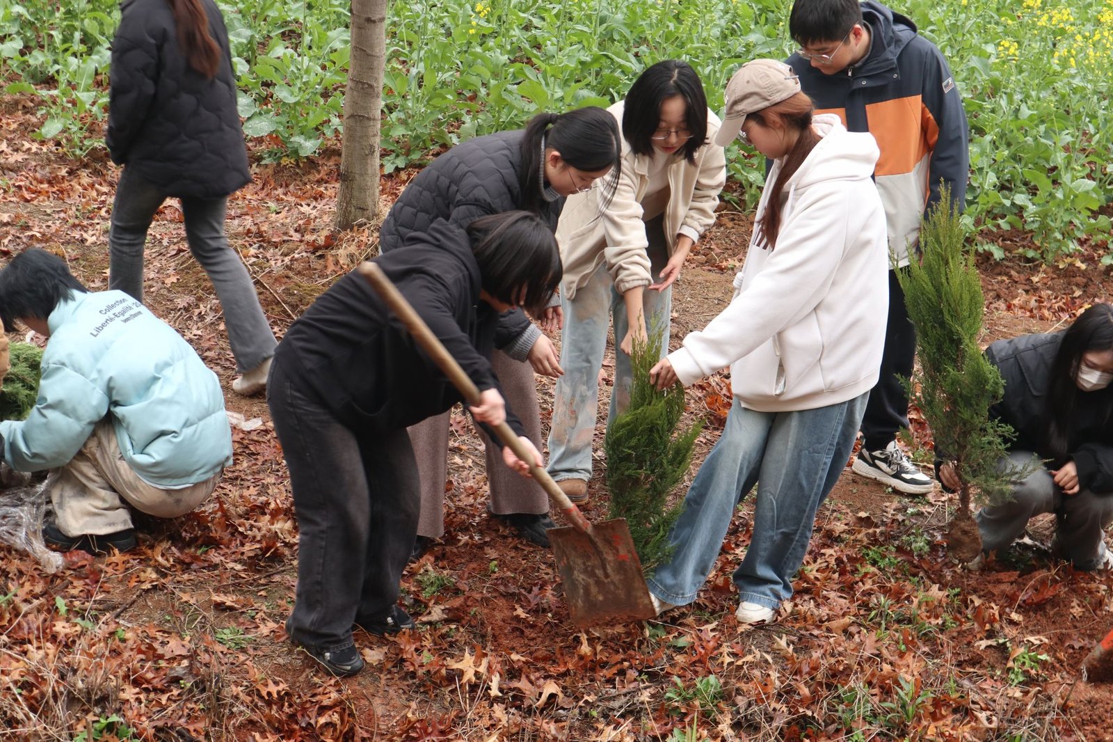 山水间的答卷 ——湖北水利水电职业技术学
